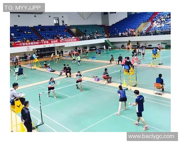 西安羽毛球队在全国羽毛球耐力排行榜中荣获第四名的佳绩分析